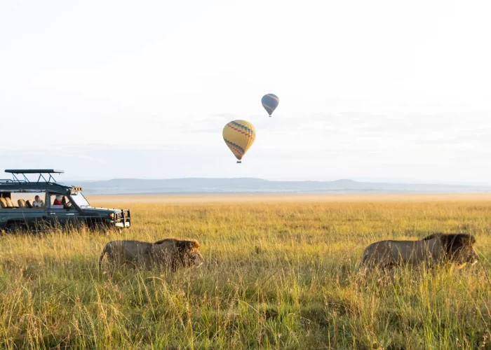 PrideInn_Mara Wild Experience 3